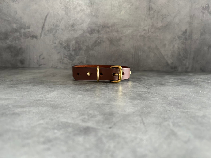 The Studded Dog Collar