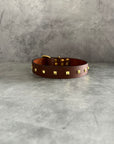 The Studded Dog Collar