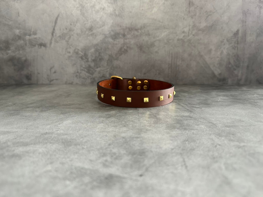 The Studded Dog Collar